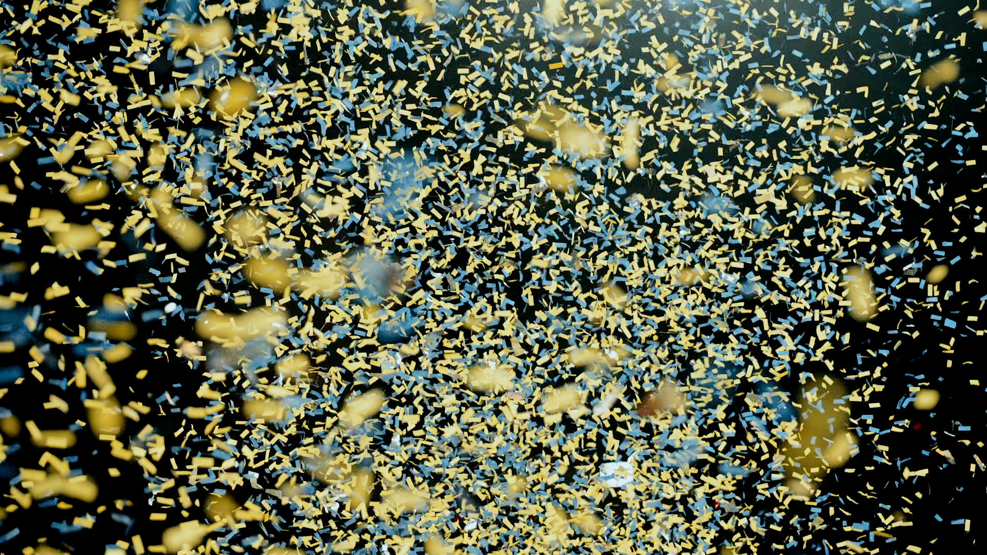 Maize and blue championship confetti